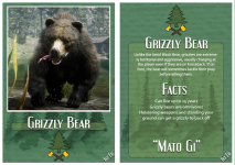 8 Grizzly Bear.png